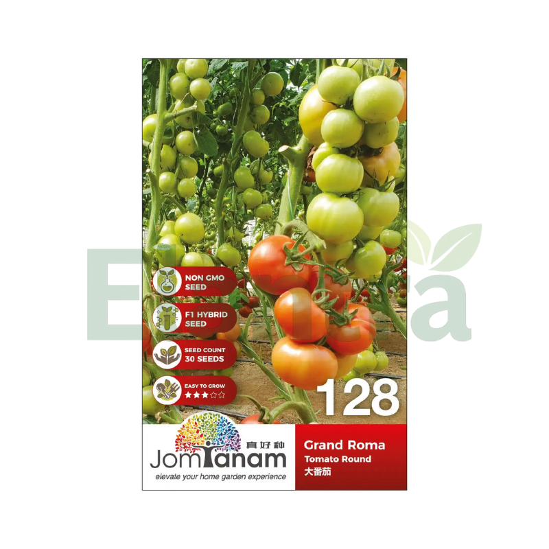 128 TOMATO ROUND